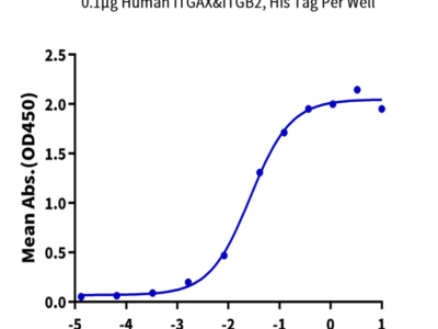 Human Integrin alpha X beta 2 (ITGAX&ITGB2) Heterodimer Protein (ITG-HM1XB)