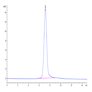 Human Integrin alpha X beta 2 (ITGAX&ITGB2) Heterodimer Protein (ITG-HM1XB)