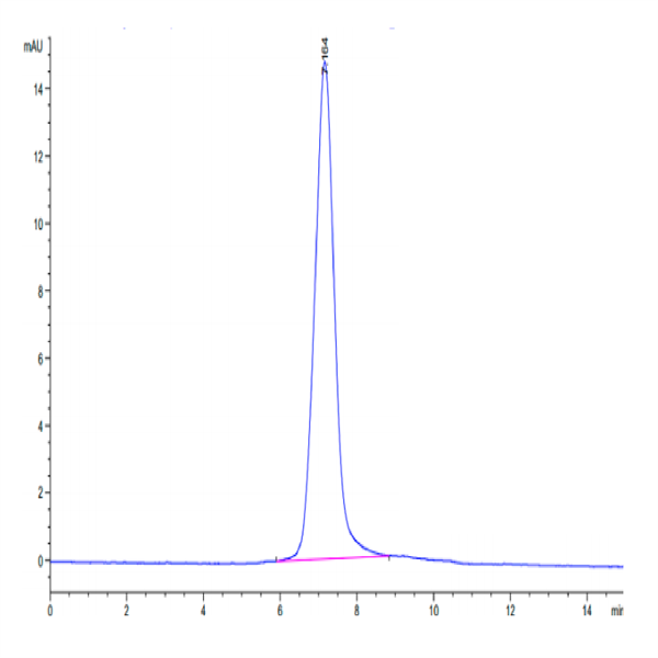 Human Integrin alpha X beta 2 (ITGAX&ITGB2) Heterodimer Protein (ITG-HM1XB)