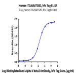 Human Integrin alpha V beta 3 (ITGAV&ITGB3) Heterodimer Protein (ITG-HM2V3)