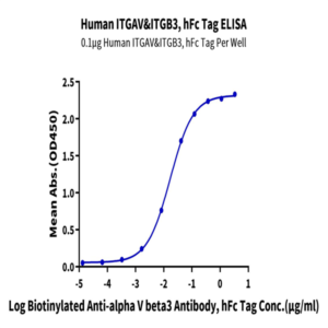 Human Integrin alpha V beta 3 (ITGAV&ITGB3) Heterodimer Protein (ITG-HM2V3)