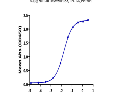 Human Integrin alpha V beta 3 (ITGAV&ITGB3) Heterodimer Protein (ITG-HM2V3)