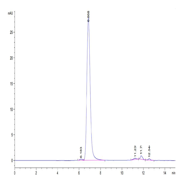 Human Integrin alpha V beta 3 (ITGAV&ITGB3) Heterodimer Protein (ITG-HM2V3)