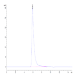 Human Integrin alpha 5 beta 1 (ITGA5&ITGB1) Heterodimer Protein (ITG-HM451)