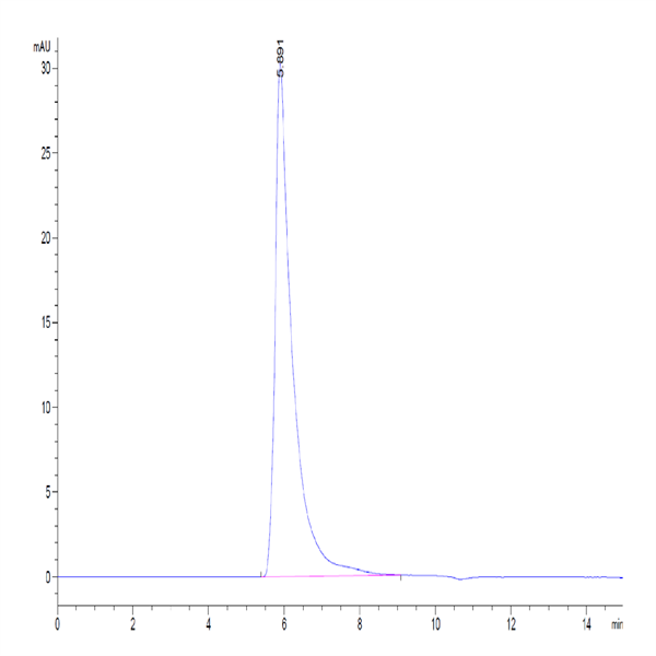 Human Integrin alpha 5 beta 1 (ITGA5&ITGB1) Heterodimer Protein (ITG-HM451)