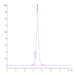 Biotinylated Human Integrin alpha 5 beta 1 (ITGA5&ITGB1) Heterodimer Protein (ITG-HM451B)