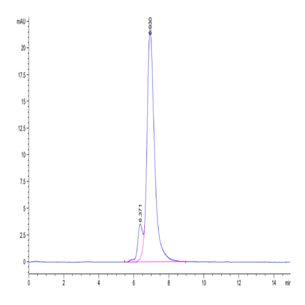 Biotinylated Human Integrin alpha 5 beta 1 (ITGA5&ITGB1) Heterodimer Protein (ITG-HM451B)