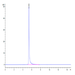 Human Integrin alpha 6 beta 1 (ITGA6&ITGB1) Heterodimer Protein (ITG-HM461)