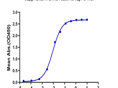 Human Integrin alpha V beta 3 (ITGAV&ITGB3) Heterodimer Protein (ITG-HM4V3)