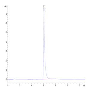 Human Integrin alpha V beta 3 (ITGAV&ITGB3) Heterodimer Protein (ITG-HM4V3)