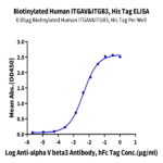 Biotinylated Human Integrin alpha V beta 3 (ITGAV&ITGB3) Heterodimer Protein (ITG-HM4V3B)