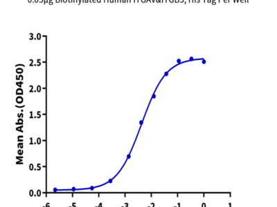 Biotinylated Human Integrin alpha V beta 3 (ITGAV&ITGB3) Heterodimer Protein (ITG-HM4V3B)