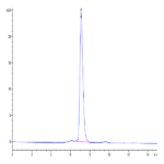 Biotinylated Human Integrin alpha V beta 3 (ITGAV&ITGB3) Heterodimer Protein (ITG-HM4V3B)