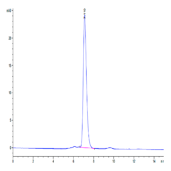 Biotinylated Human Integrin alpha V beta 3 (ITGAV&ITGB3) Heterodimer Protein (ITG-HM4V3B)