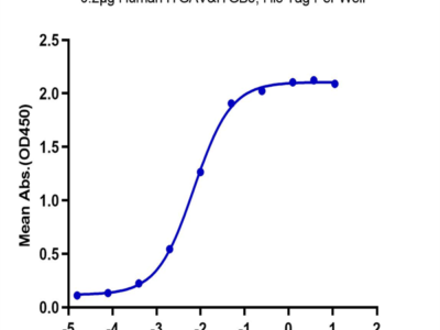 Human Integrin alpha V beta 5 (ITGAV&ITGB5) Heterodimer Protein (ITG-HM4V5)