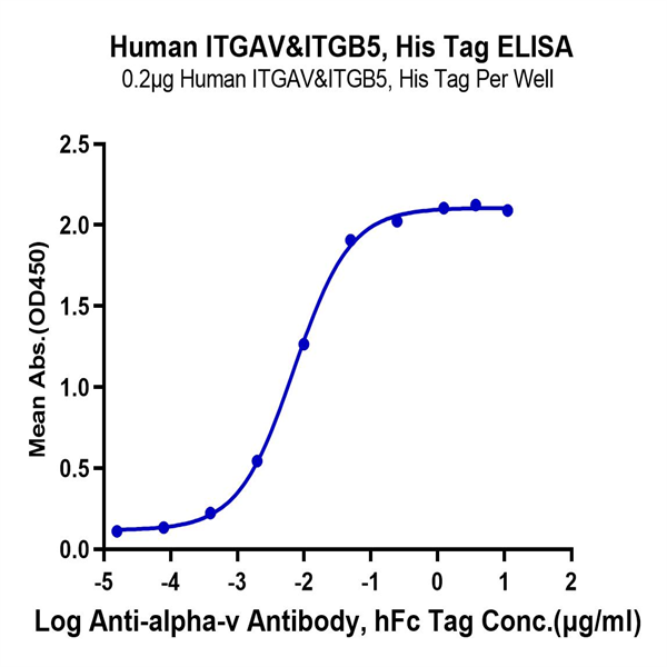 Human Integrin alpha V beta 5 (ITGAV&ITGB5) Heterodimer Protein (ITG-HM4V5) Human Integrin alpha V beta 5 (ITGAV&ITGB5) Heterodimer Protein (ITG-HM4V5)