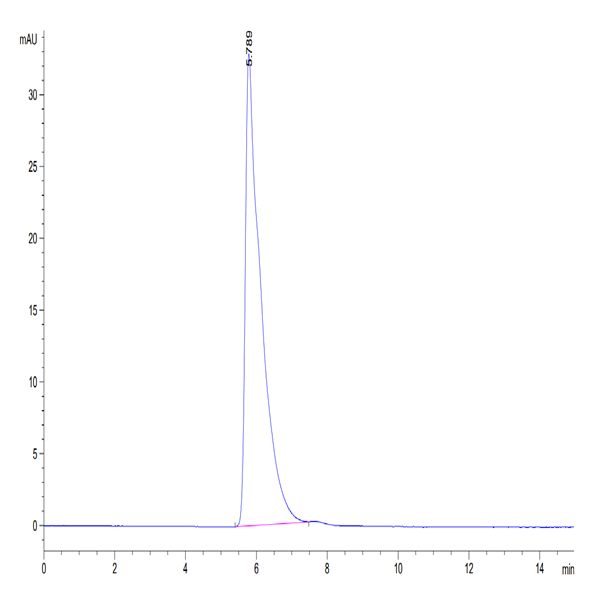 Human Integrin alpha V beta 5 (ITGAV&ITGB5) Heterodimer Protein (ITG-HM4V5)
