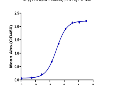 Biotinylated Human Integrin alpha V beta 5 (ITGAV&ITGB5) Heterodimer Protein (ITG-HM4V5B)