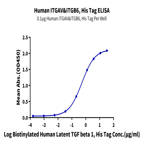 Human Integrin alpha V beta 6 (ITGAV&ITGB6) Heterodimer Protein (ITG-HM4V6) Human Integrin alpha V beta 6 (ITGAV&ITGB6) Heterodimer Protein (ITG-HM4V6)