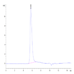 Human Integrin alpha V beta 6 (ITGAV&ITGB6) Heterodimer Protein (ITG-HM4V6)