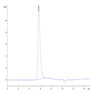Human Integrin alpha V beta 6 (ITGAV&ITGB6) Heterodimer Protein (ITG-HM4V6)