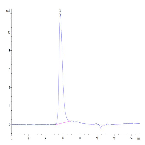 Human Integrin alpha V beta 6 (ITGAV&ITGB6) Heterodimer Protein (ITG-HM4V6)