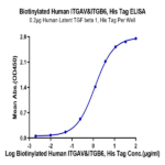 Biotinylated Human Integrin alpha V beta 6 (ITGAV&ITGB6) Heterodimer Protein (ITG-HM4V6B)