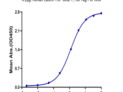 Biotinylated Human Integrin alpha V beta 6 (ITGAV&ITGB6) Heterodimer Protein (ITG-HM4V6B)