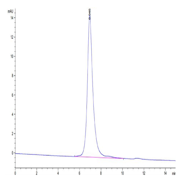 Biotinylated Human Integrin alpha V beta 6 (ITGAV&ITGB6) Heterodimer Protein (ITG-HM4V6B)