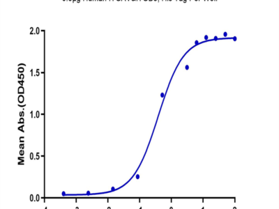 Human Integrin alpha V beta 8 (ITGAV&ITGB8) Heterodimer Protein (ITG-HM4V8)