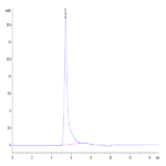 Human Integrin alpha V beta 8 (ITGAV&ITGB8) Heterodimer Protein (ITG-HM4V8)
