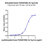 Biotinylated Human Integrin alpha V beta 8 (ITGAV&ITGB8) Heterodimer Protein (ITG-HM4V8B)
