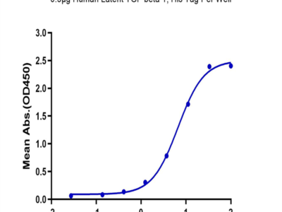 Biotinylated Human Integrin alpha V beta 8 (ITGAV&ITGB8) Heterodimer Protein (ITG-HM4V8B)