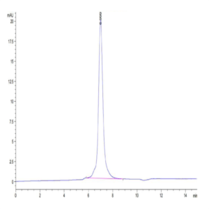 Mouse Integrin alpha 2B beta 3 (ITGA2B&ITGB3) Heterodimer Protein (ITG-MM12B)