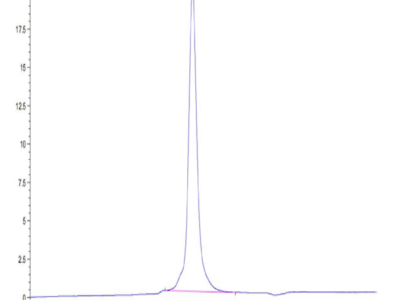 Mouse Integrin alpha 2B beta 3 (ITGA2B&ITGB3) Heterodimer Protein (ITG-MM12B)