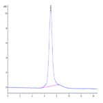 Mouse Integrin alpha 2 beta 1 (ITGA2&ITGB1) Heterodimer Protein (ITG-MM1AB)