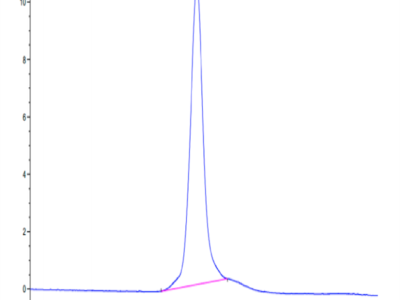 Mouse Integrin alpha 2 beta 1 (ITGA2&ITGB1) Heterodimer Protein (ITG-MM1AB)