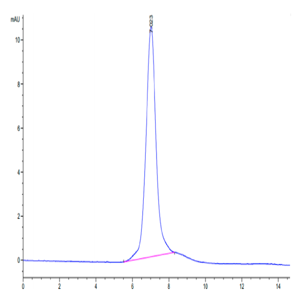Mouse Integrin alpha 2 beta 1 (ITGA2&ITGB1) Heterodimer Protein (ITG-MM1AB)