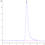 Mouse ITGB6 Protein (ITG-MM1B6)