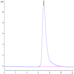 Mouse ITGB6 Protein (ITG-MM1B6)