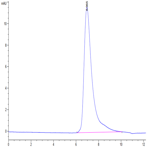 Mouse ITGB6 Protein (ITG-MM1B6) Mouse ITGB6 Protein (ITG-MM1B6)