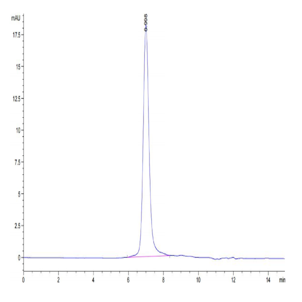 Mouse Integrin alpha L beta 2 (ITGAL&ITGB2) Heterodimer Protein (ITG-MM1LB) Mouse Integrin alpha L beta 2 (ITGAL&ITGB2) Heterodimer Protein (ITG-MM1LB)