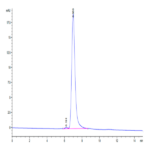 Mouse Integrin alpha V beta 3 (ITGAV&ITGB3) Heterodimer Protein (ITG-MM1V3)