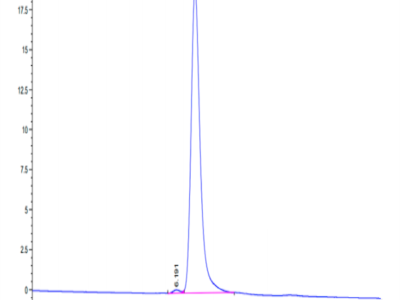 Mouse Integrin alpha V beta 3 (ITGAV&ITGB3) Heterodimer Protein (ITG-MM1V3)