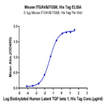 Mouse Integrin alpha V beta 6 (ITGAV&ITGB6) Heterodimer Protein (ITG-MM1V6)
