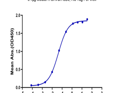 Mouse Integrin alpha V beta 6 (ITGAV&ITGB6) Heterodimer Protein (ITG-MM1V6)