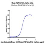 Mouse Integrin alpha V beta 6 (ITGAV&ITGB6) Heterodimer Protein (ITG-MM1V6)