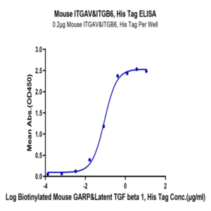 Mouse Integrin alpha V beta 6 (ITGAV&ITGB6) Heterodimer Protein (ITG-MM1V6)