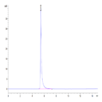 Mouse Integrin alpha V beta 6 (ITGAV&ITGB6) Heterodimer Protein (ITG-MM1V6)