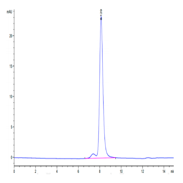 Mouse Integrin alpha V beta 8 (ITGAV&ITGB8) Heterodimer Protein (ITG-MM1V8)